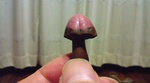 DSC00056.JPG