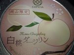 DSC00299.JPG